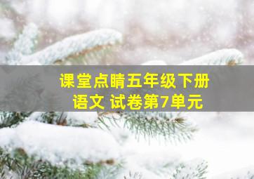 课堂点睛五年级下册语文 试卷第7单元